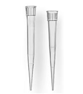 pipette tips